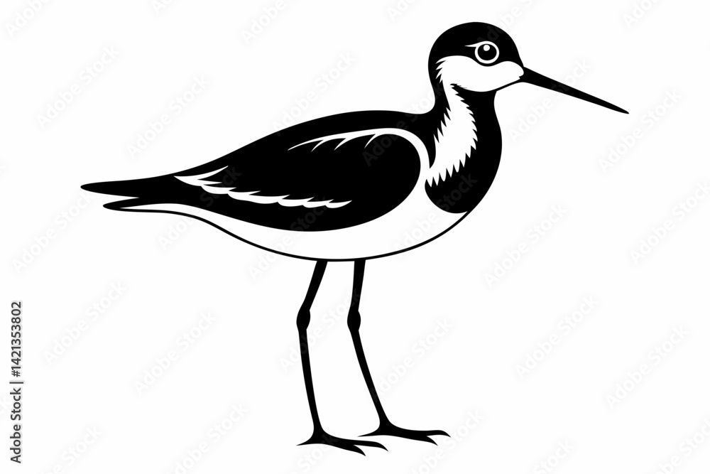 Fototapeta premium sandpiper silhouette line art vector illustration with a white background