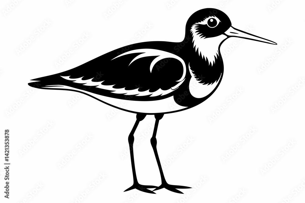 Obraz premium sandpiper silhouette line art vector illustration with a white background