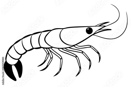 shrimp silhouette line art vector illustration with a white background