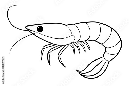 shrimp silhouette line art vector illustration with a white background