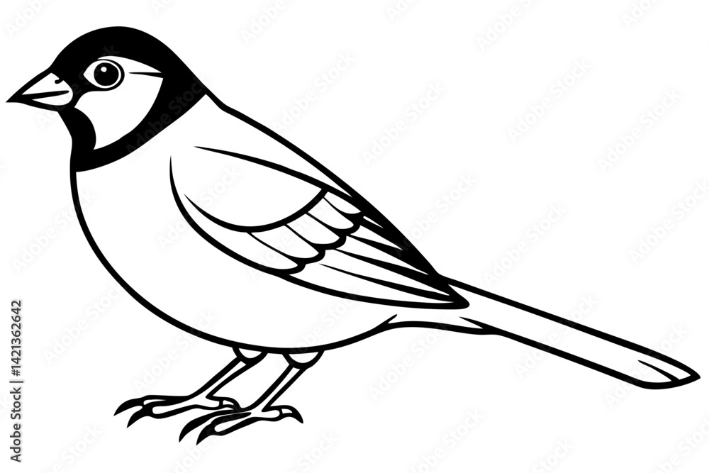 Fototapeta premium sparrow silhouette line art vector illustration with a white background