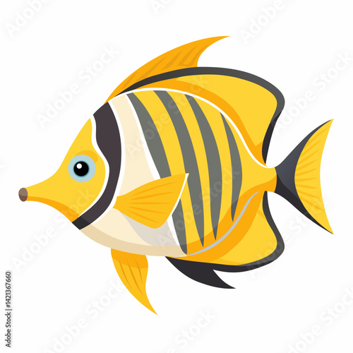 fish on a white background