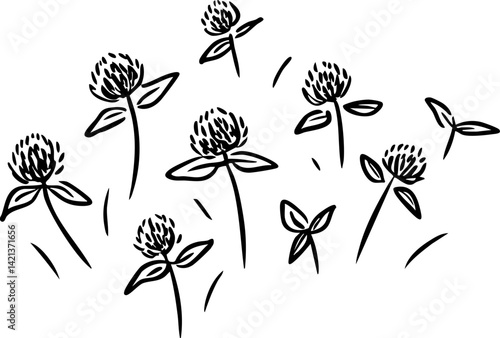 Clover flowers in whimsical design, nature beauty and simplicity