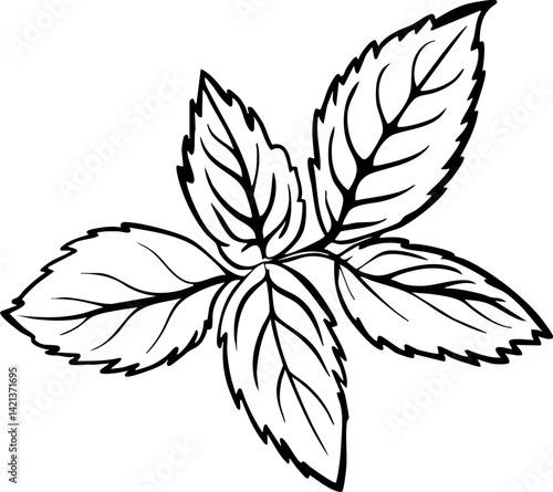 Fresh mint leaves illustration, their vibrant green color and intricate details