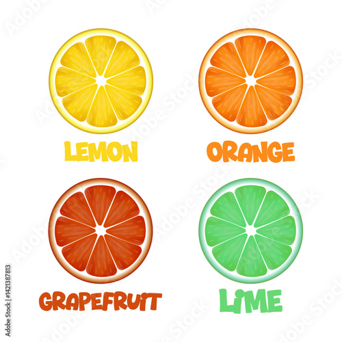 Lemon, lime, orange and grapefruit slice. Citrus fruits set. Vector cartoon illustration.