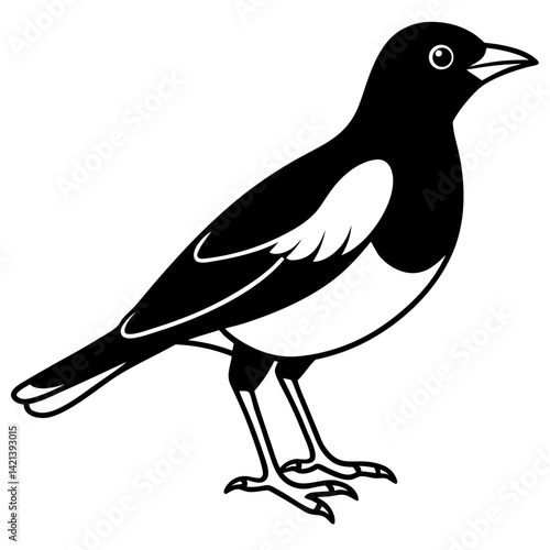 Common Myna Vector on White Background