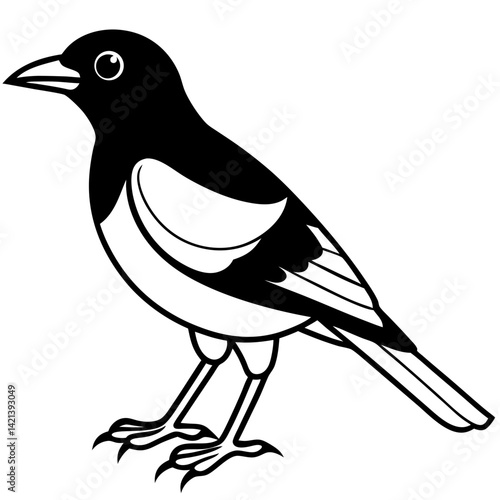 Common Myna Vector on White Background