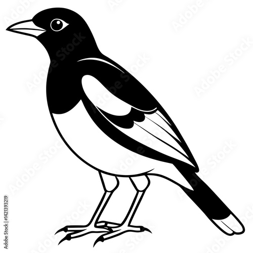 Common Myna Vector on White Background