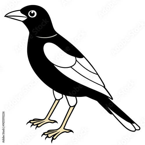 Common Myna Vector on White Background