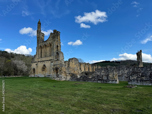 Byland Abbey