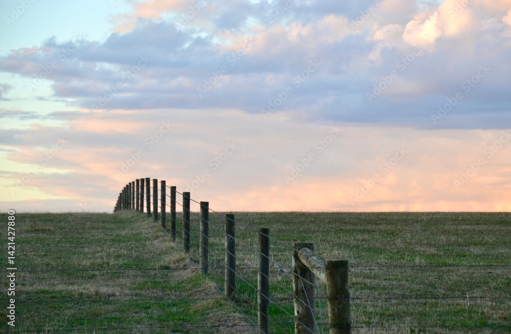 Obraz premium Sunset on farm on Mornington Peninsula