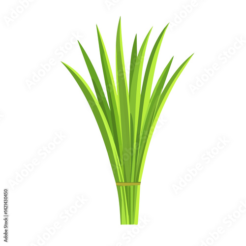 Simple flat 2D icon lemongrass branch isolated on transparent background, vector, flat design, animation design, vector, flat design, animation design, simple flat 2D icon, minimalist design, clipart