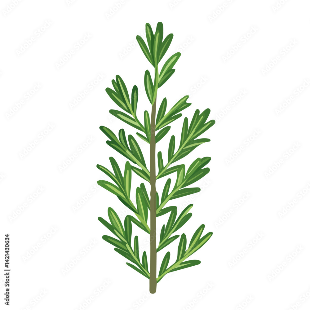 Fototapeta premium A Very Simple flat 2D icon of rosemary isolated on a white background, vector, flat design, animation design, simple flat 2D icon, minimalist design, clipart design, EPS