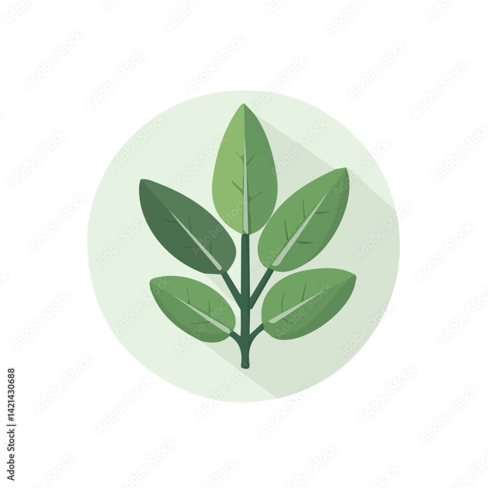 Fototapeta premium A Very Simple flat 2D icon sage branches isolated on a white background, vector, flat design, animation design, simple flat 2D icon, minimalist design, clipart design, EPS