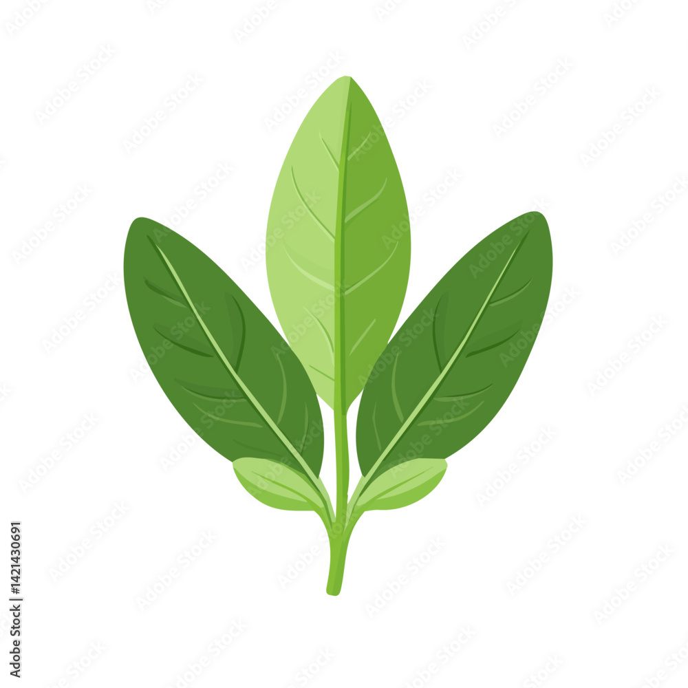 Fototapeta premium A Very Simple flat 2D icon sage branches isolated on a white background, vector, flat design, animation design, simple flat 2D icon, minimalist design, clipart design, EPS