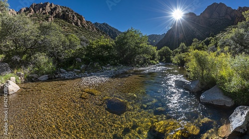Wide angle view of crystal clear mountain stream winding through lush green forest sunlight reflecting cinematic depth created with Generative AI technology