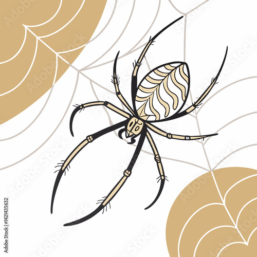 Golden Silk Orb-Weaver – Elegant Minimal Spider Design