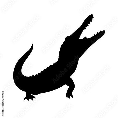 crocodile isolated on white