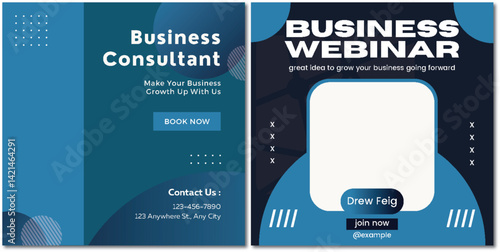 Elevate Your Ventures: Business Consulting and Webinar Promo Visual