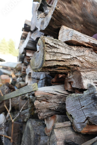 Wallpaper Mural Close-up image of a neatly stacked pile of firewood logs, showcasing the natural texture of weathered wood and bark Torontodigital.ca