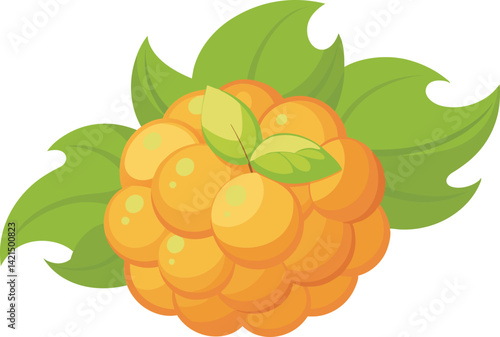 A vibrant vector art illustration of a delicious cloudberry, showcasing rich colors and detailed textures, perfect for food and nature designs.