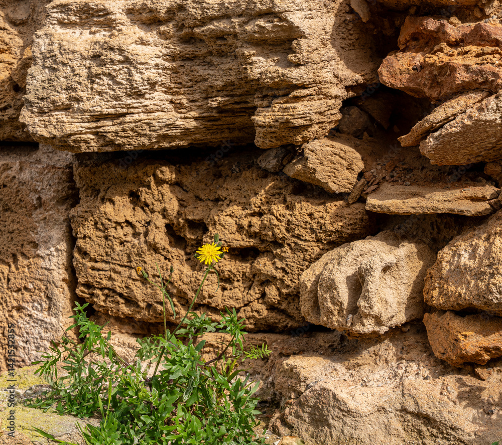 Detailfoto, Stadtmauer in Alcudia, Mallorca, Spanien