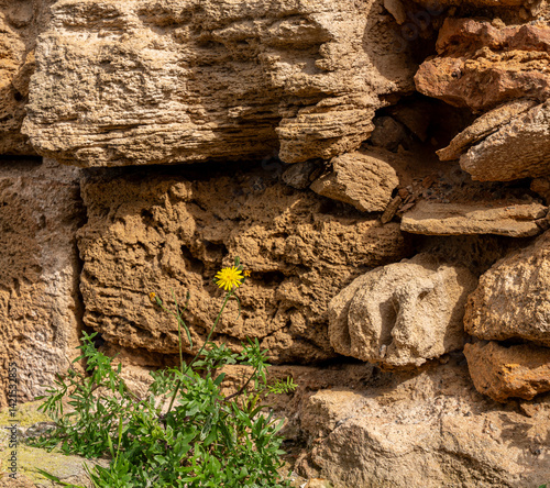 Obraz na płótnie Detailfoto, Stadtmauer in Alcudia, Mallorca, Spanien w salonie