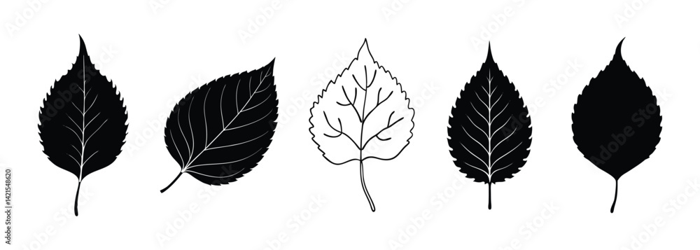 Obraz premium leaf icon, birch leaf silhouette.