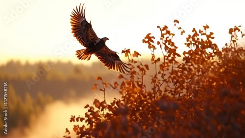 A majestic bird soars through a backdrop of autumn foliage, showcasing its expansive wings against a warm, golden-hued landscape.