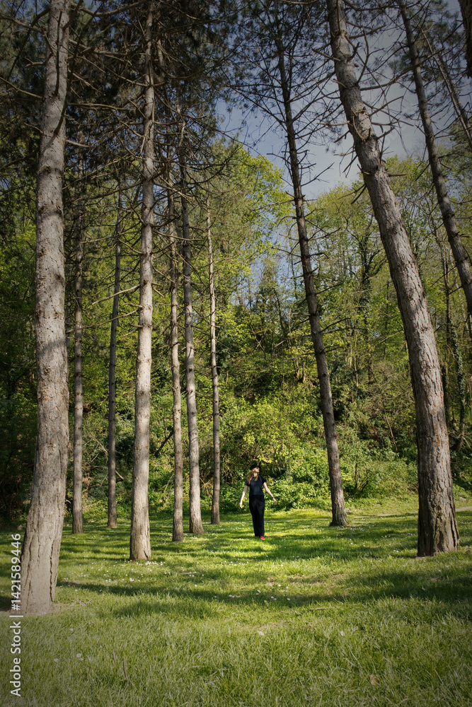 Obraz premium A lone girl in a dark dress stands in a sun-dappled clearing surrounded by tall pine trees, casting long shadows across the grassy forest floor on a bright day