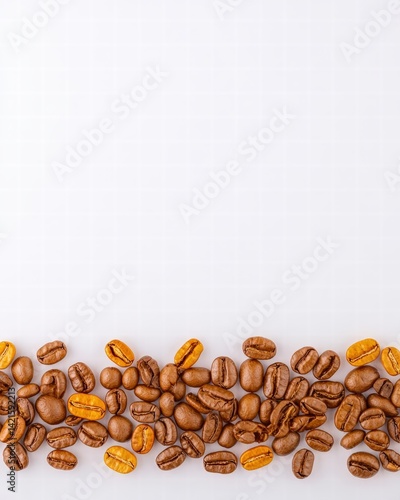 A collection of coffee beans displayed together highlighting their diversity and unique textures