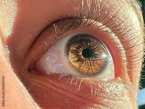 Obraz na plátně Woman's hazel eye reflecting sunlight: detailed close-up