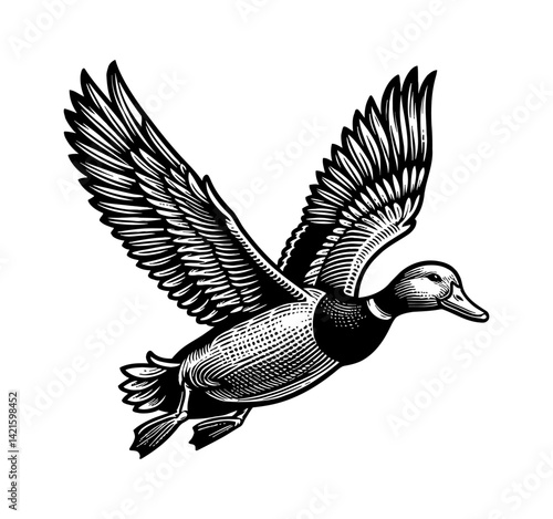 Flock of Ducks, Teal, Geese, and Swans Flying in the Sky on a Cloudy Day Migration