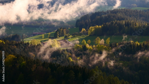 Bild auf Leinwand sonnendurchflutete Nebelschaden in der Buckligen Welt!