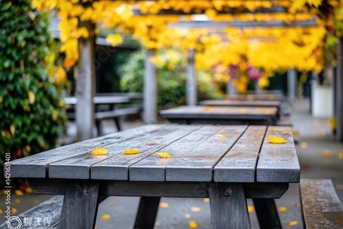 Autumnal patio tables under a canopy of leaves