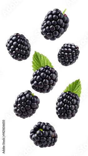 Obraz na płótnie Falling blackberry isolated on transparent background