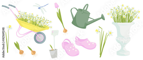 set elements about spring flowers gardening, daffodils flowers, tulip flower, sprouted bulb of a plant, pair of rubber gardening boots, watering can,Blooming daffodils in decorative planter,