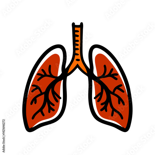 Illustration of human lungs with detailed bronchial tree, emphasizing respiratory system function