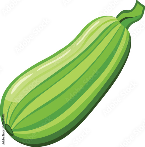 zucchini vector art (1).eps