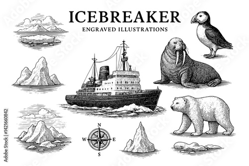 Exploring Arctic Waters through intricate engravings of nature, wildlife, and icebreakers in a timeless artistic representation
