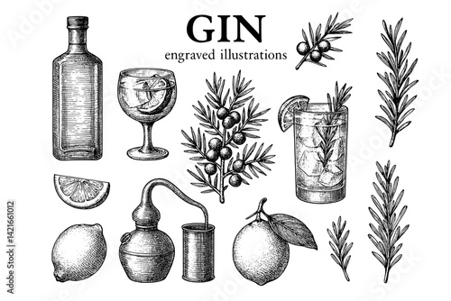 Exploring vintage gin illustrations showcasing botanicals, distillation, and refreshing cocktails in a timeless craft