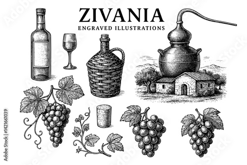 Intricate engravings of zivanias, showcasing tradition in winemaking with detailed depictions of grapes, village homes, and vintage tools