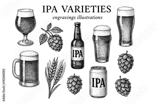 Explore the diverse world of IPA varieties with intricate engravings showcasing hops, barley, and crafted beers