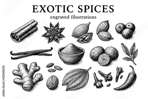 Explore a diverse collection of exotic spices illustrated with intricate engravings showcasing their unique forms and textures