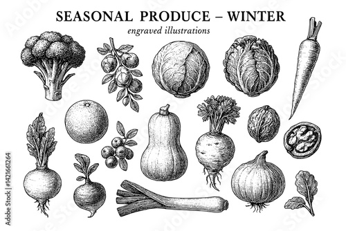Engraved illustrations capturing the essence of winter produce with a detailed assortment of seasonal vegetables and fruits