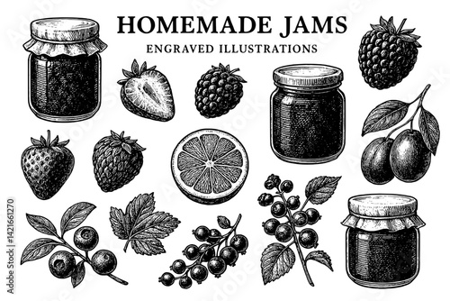 Artistic collection of engraved illustrations showcasing homemade jams and fresh fruits in a vintage style