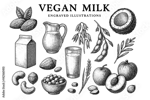 Discovering the art of vegan milk through engraved illustrations showcasing diverse ingredients and flavors