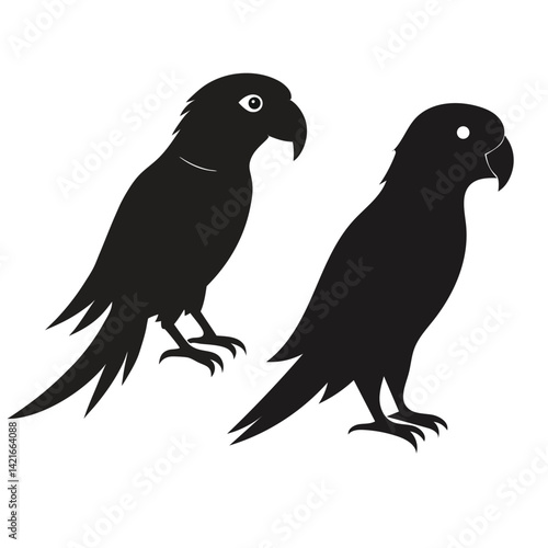 silhouettes amazon parrots single birds illustrato file