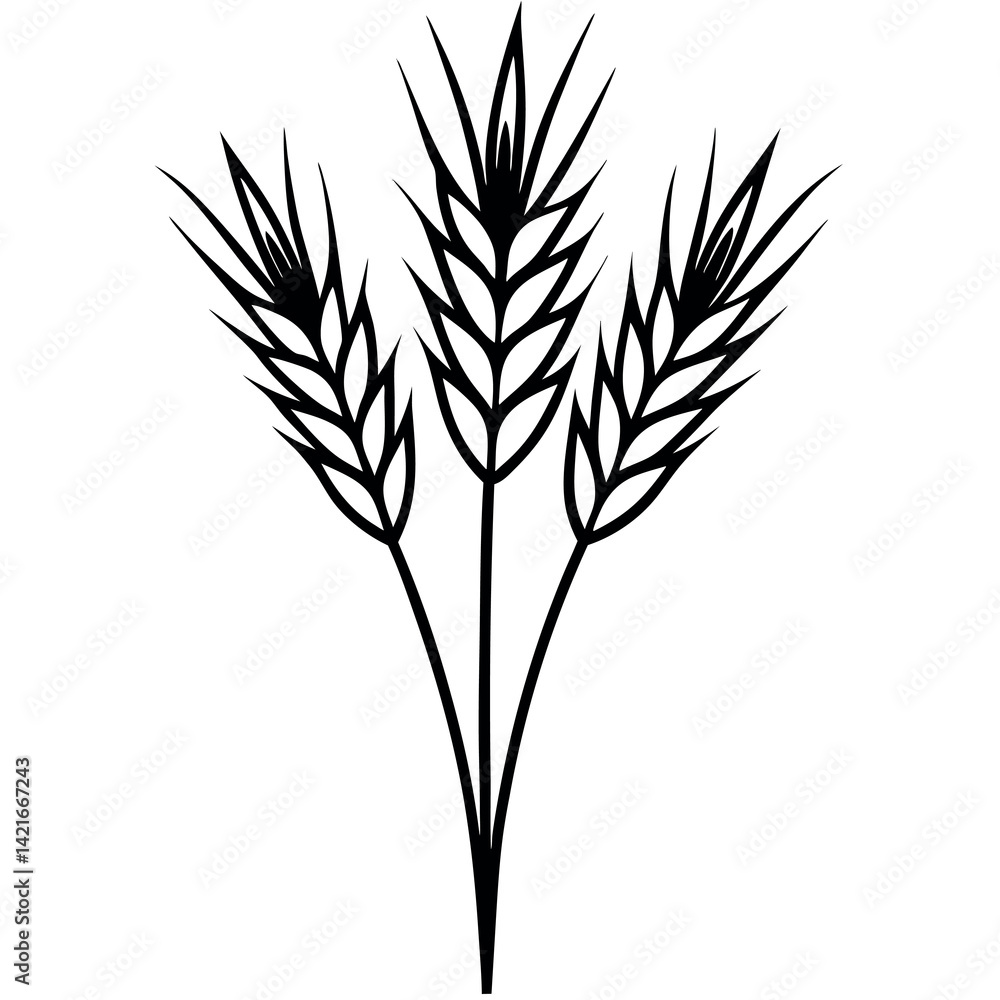 A black-and-white-drawing-of-a-barley-stalk A black-and-white-drawing-of-a-barley-stalk