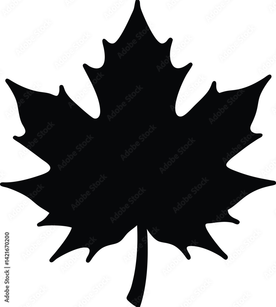 maple maple